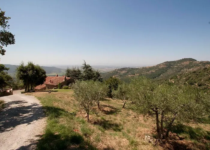 Leccio * Κορτόνα